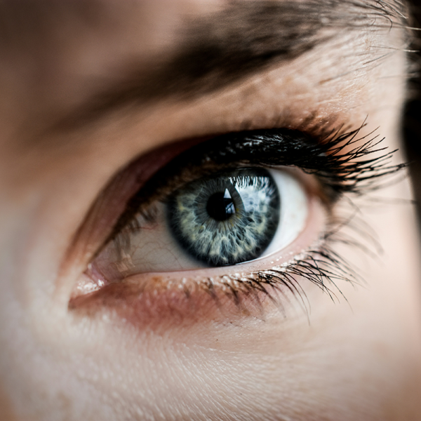 Polynucleotides eye (course of 3)